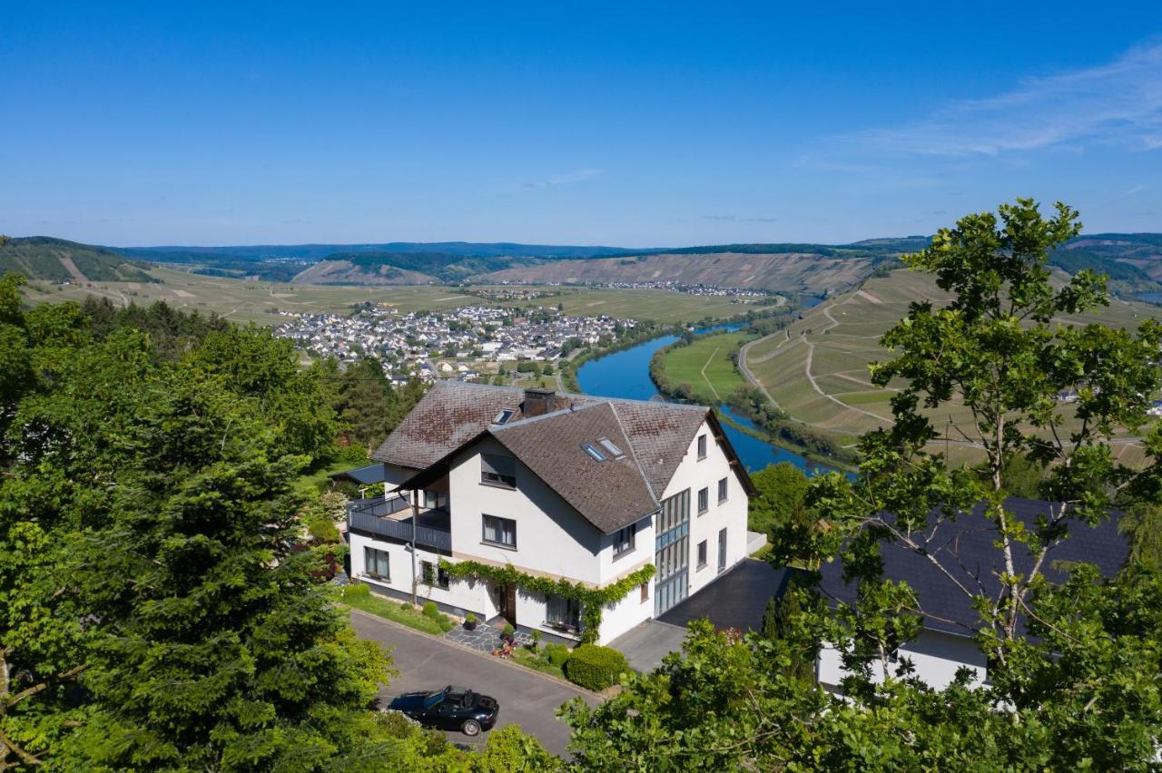 Gastehaus-Weingut Loersch Hotel Leiwen Luaran gambar