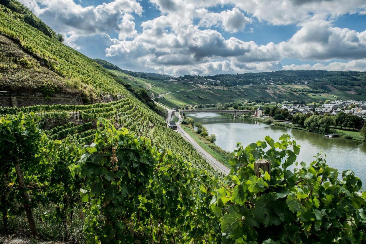 Gastehaus-Weingut Loersch Hotel Leiwen Luaran gambar