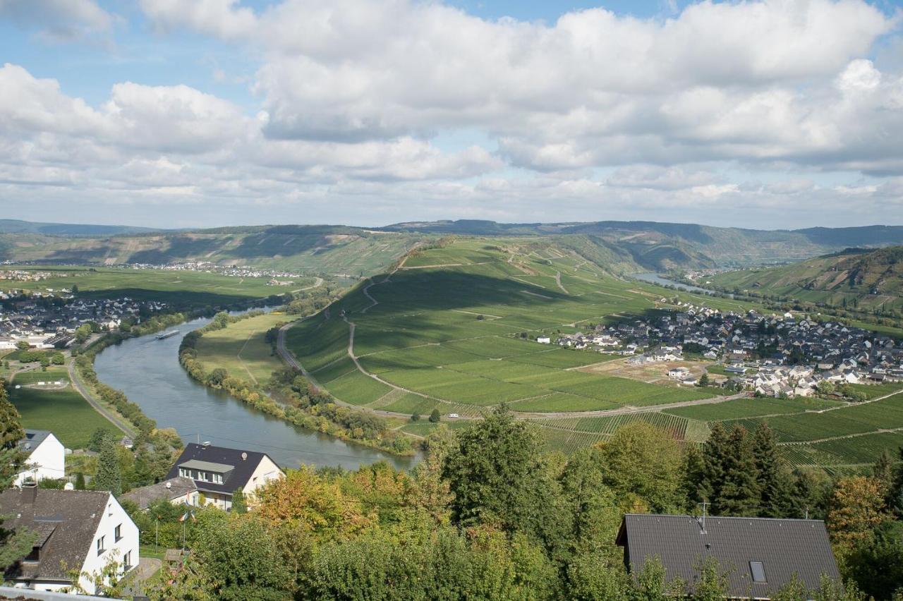 Gaestehaus-Weingut Loersch Leiwen Luaran gambar