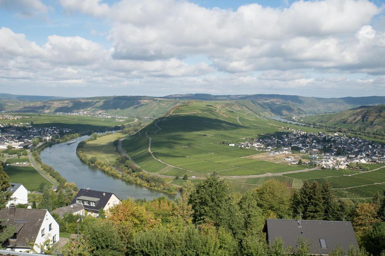 Gastehaus-Weingut Loersch Hotel Leiwen Luaran gambar